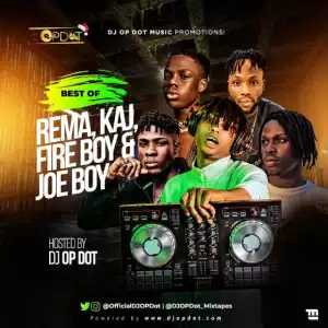 DJ OP Dot - Best Of Rema, FireBoy DML & Joeboy, KAJ